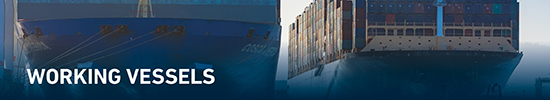 Port of Long Beach image